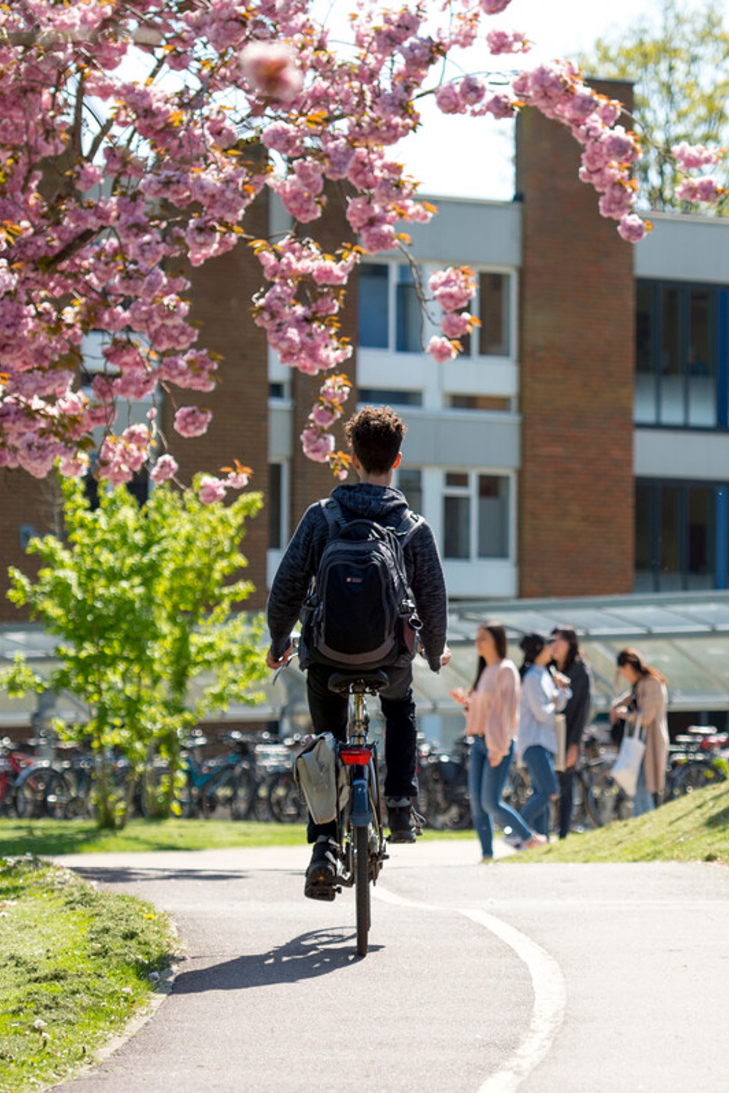 Alumno de University of Sussex