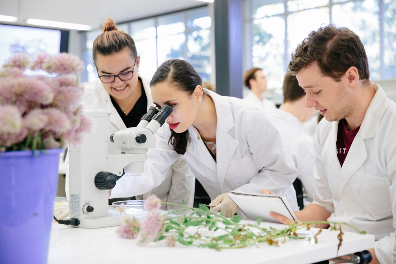 UQ Laboratory